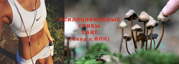 каннабис Алексин