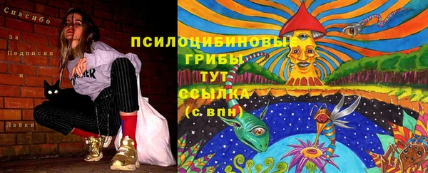 СК Алексеевка