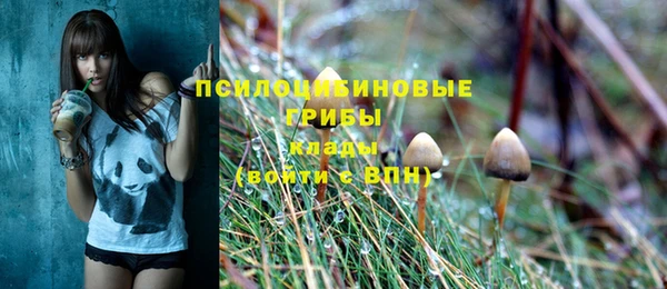 а пвп мука Алзамай